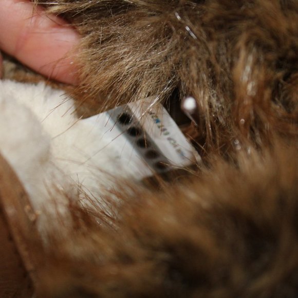 NEW UGG ADIRONDACK III LEATHER FUR SHEARLING SNOW WINTER BOOTS CHESTNUT - Picture 7 of 9